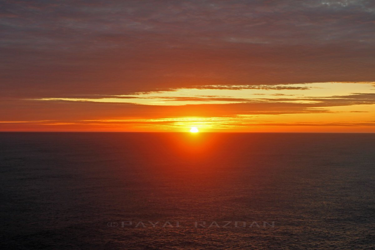 ScienceofDiving's tweet image. May this #sunrise brighten up your #WorldOceansDay. We can keep our beautiful waterways healthy by reducing dependence on #onetimeuseplastic. @oceanfdn @Seasaver #WorldOceansDay2020 #WorldEnvironmentDay #mondaythoughts #MondayMotivation @MissionBlue
instagram.com/p/CAy2u7shLcC/…