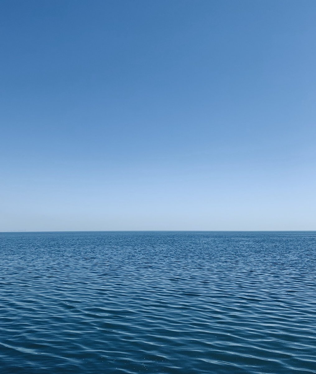 On #WorldOceansDay we celebrate and honor the ocean which connects us all.