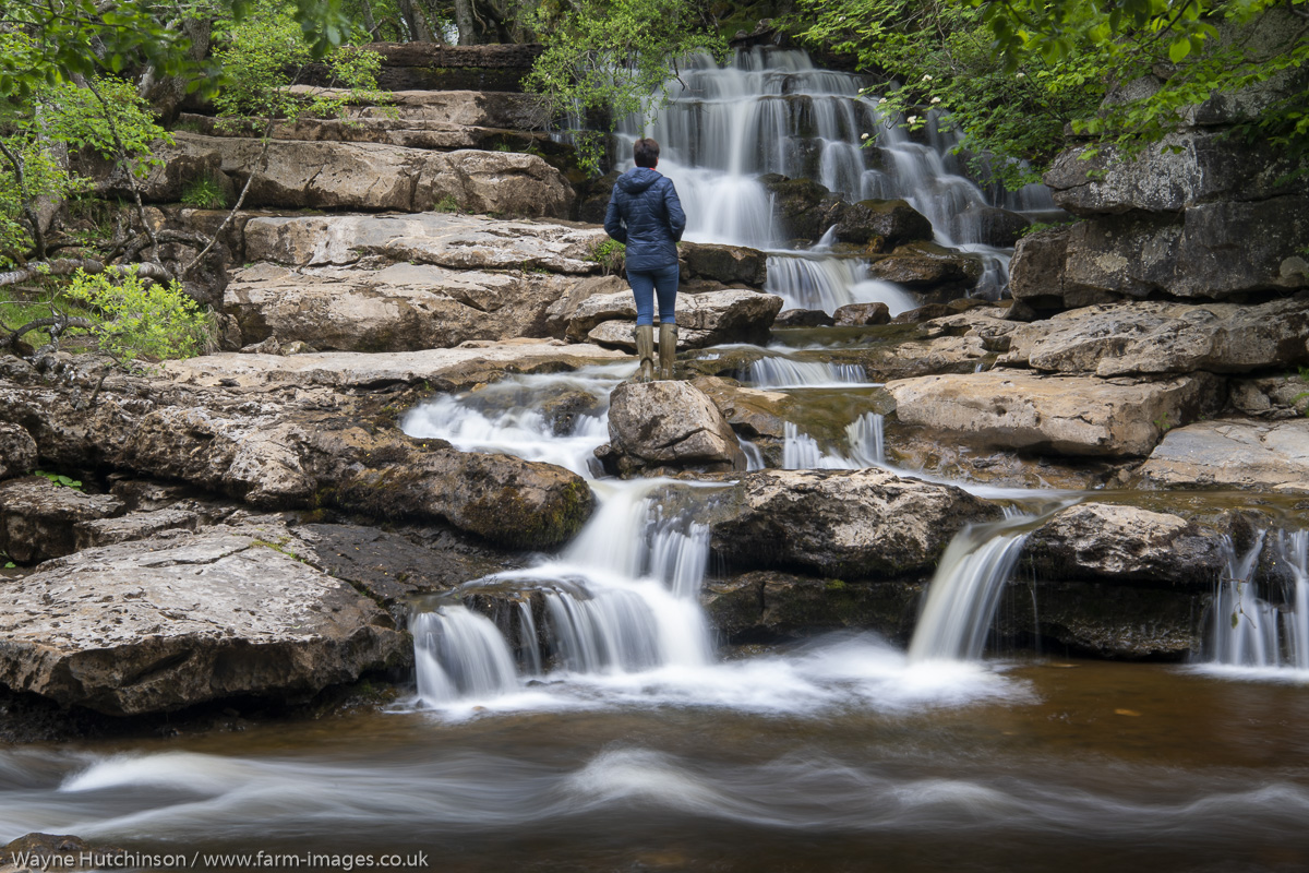 Farm Images (@waynehutch73) on Twitter photo East Gill force as it joins the River Swale near Keld in the Yorkshire Dales National Park. #wexmondays #fsprintmonday #sharemondays2020 #photography #waterfalls #yorkshire <a href="/The_Dalesman/">The Yorkshire Dalesman magazine</a> <a href="/yorkshirepost/">The Yorkshire Post</a> <a href="/yorkshire_dales/">Yorkshire Dales National Park</a> East Gill force as it joins the River Swale near Keld in the Yorkshire Dales National Park. #wexmondays #fsprintmonday #sharemondays2020 #photography #waterfalls #yorkshire <a href="/The_Dalesman/">The Yorkshire Dalesman magazine</a> <a href="/yorkshirepost/">The Yorkshire Post</a> <a href="/yorkshire_dales/">Yorkshire Dales National Park</a>