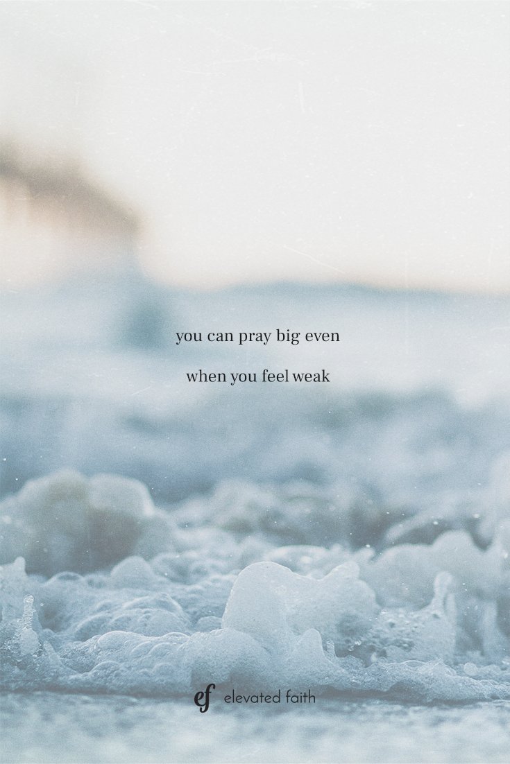 ElevatedFaith's tweet photo. https://t.co/5vi4o88z0g