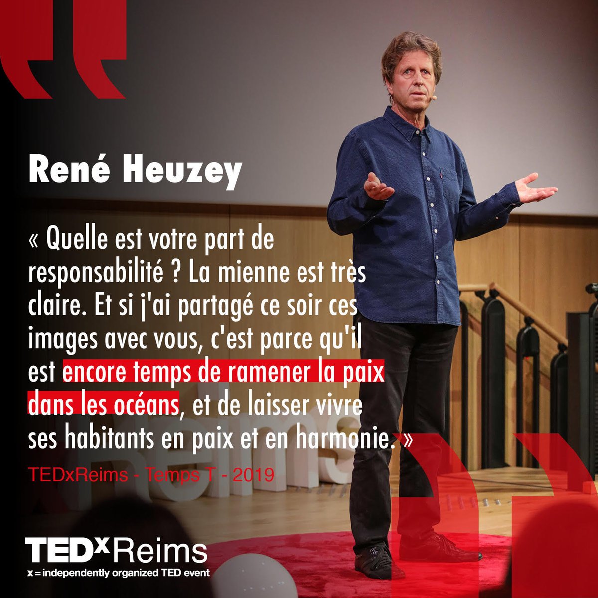 ••• A la découverte des géants ••• Aujourd’hui c’est la journée mondiale des océans 🌏🐟🐋 !! Lien 🎤 René Heuzey 👉 bit.ly/2MCAFeg crédit photographique 📸 &amp; graphique 🖌 SOKOL Photographe