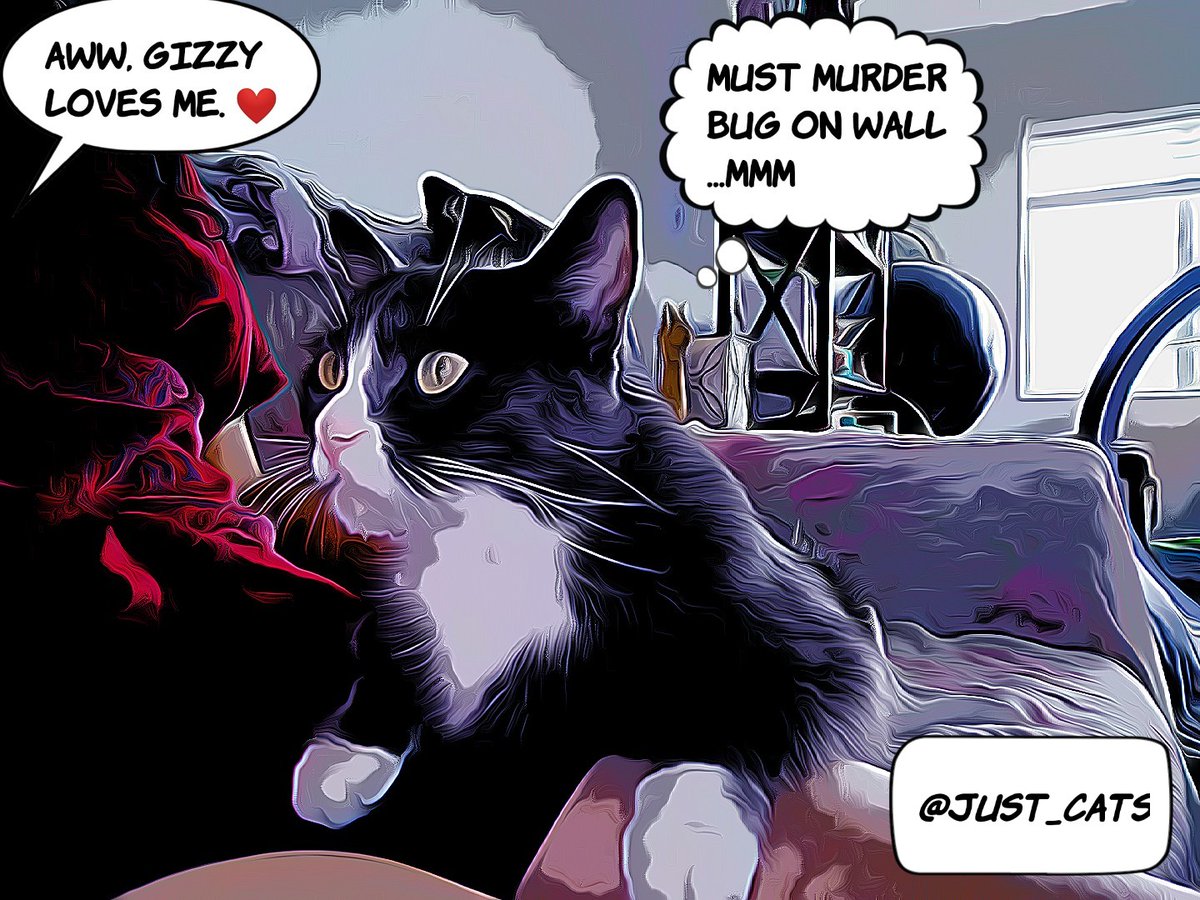 Just_Cats's tweet photo. Sometimes cat romance simply means serving as a human sentinel base during bug battles.
#cats #justcats #funnycats #catcomic https://t.co/4HXNcEnw3I