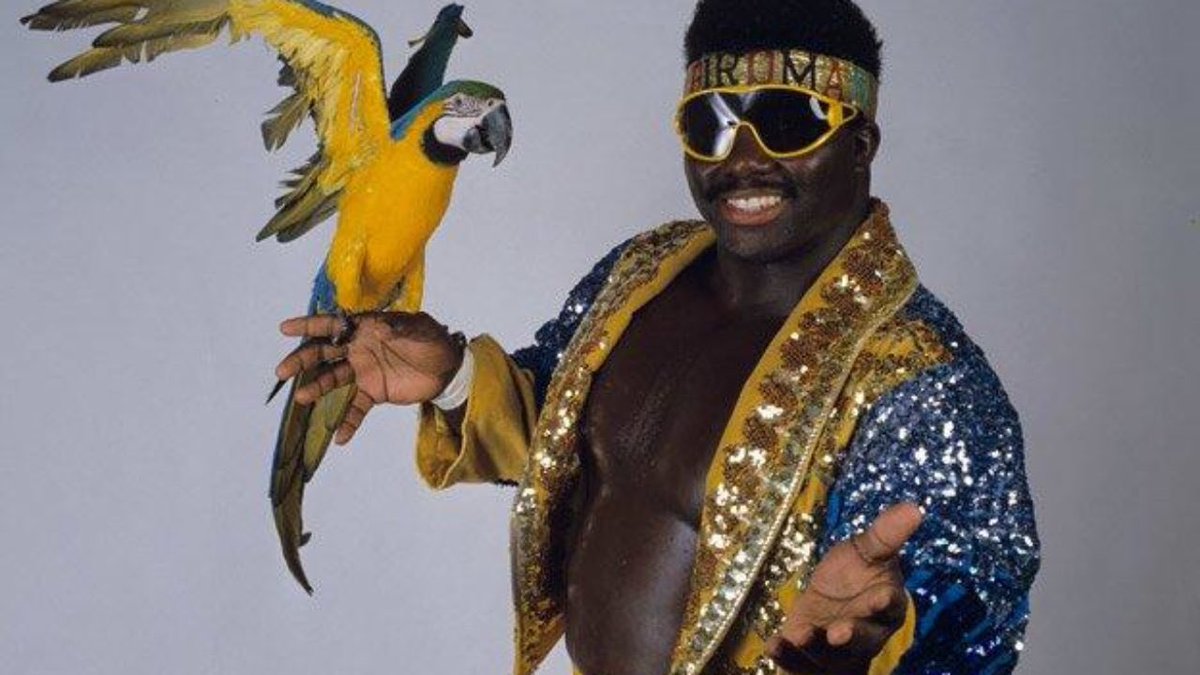 Koko B. Ware was always a midcard wrestler but he was also a fan favorite. He never held a world title, but most great black wrestlers never did. The birdman was flamboyant and known for carrying a parrot to the ring.