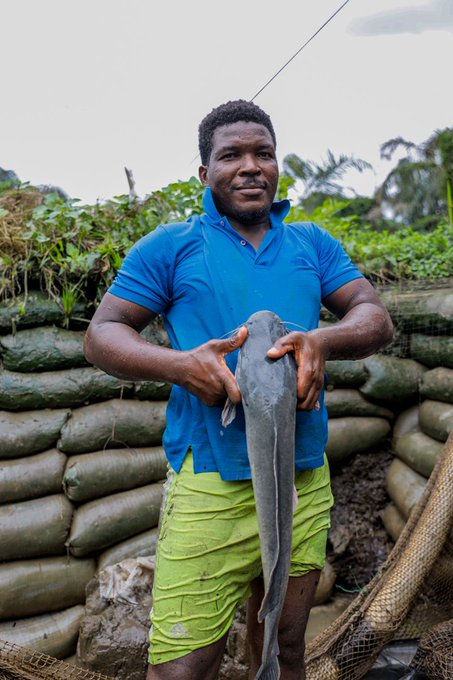 S4AfricaSMEs's tweet photo. @MadedorVictoria , @S4AfricaSMEs & @sholaanimashaun on the #Theafricafarmersstories via stories told by those in the frontline to feed Africa amid the pandemic.
Watch the space!
Follow @S4AfricaSMEs for more details.
@BusinessDayNg
@NationalEconom
@agricwatch
@LBSNigeria https://t.co/Zsce51cGs8