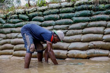 S4AfricaSMEs's tweet photo. @MadedorVictoria , @S4AfricaSMEs & @sholaanimashaun on the #Theafricafarmersstories via stories told by those in the frontline to feed Africa amid the pandemic.
Watch the space!
Follow @S4AfricaSMEs for more details.
@BusinessDayNg
@NationalEconom
@agricwatch
@LBSNigeria https://t.co/Zsce51cGs8