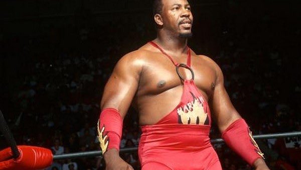 As a member of the Harlem Heat With his brother, Stevie Ray is a ten-time WCW World Tag Team Champion.