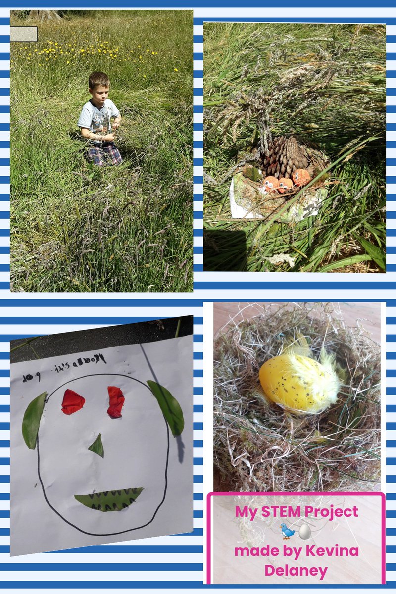 courtnacuddyns's tweet photo. This week is Stem week, today we were exploring Living Things. Have a look at our eggcellent nests! 
#STEM2020 #pdstscience #stemweek #firstandsecond https://t.co/17CglCX7Fx