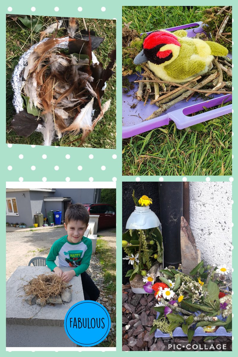 courtnacuddyns's tweet photo. This week is Stem week, today we were exploring Living Things. Have a look at our eggcellent nests! 
#STEM2020 #pdstscience #stemweek #firstandsecond https://t.co/17CglCX7Fx
