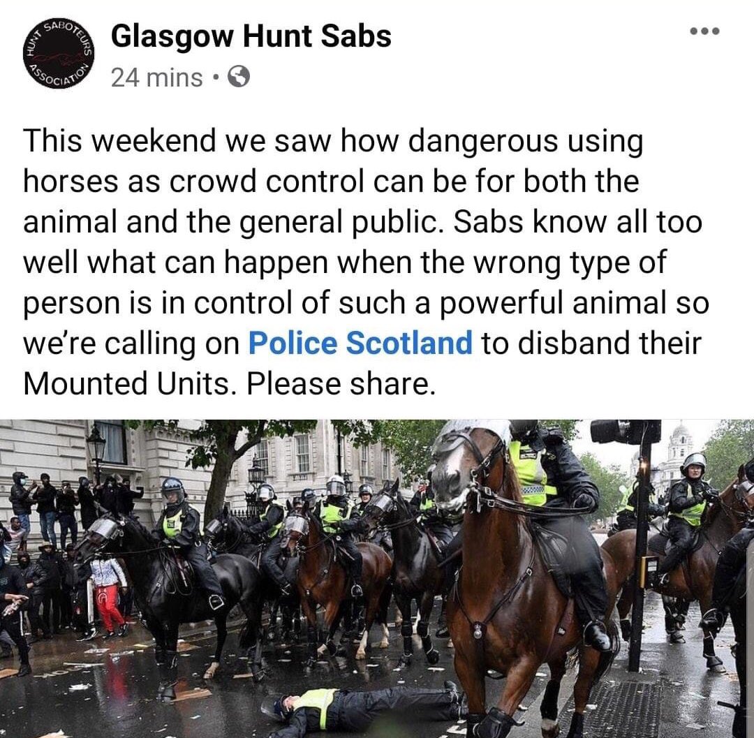 Hunting4truth tweet media