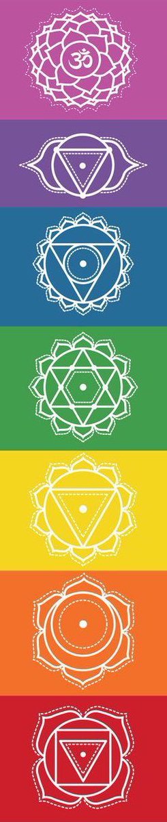 ۷ چاکرا وجود داره که از کائنات انرژی دریافت میکنن و به کل بدن منتقل میکنن.
با باز کردن چاکرا ها میتونید عمر طولانی و ارتباط بهتری با محیط اطراف داشته باشید و یا حتی به ادراک بالاتر از معمول برسید!

#چاکرا #چاکرالوژی ⁦<a href="/chakralogy/">Chakralogy</a>⁩