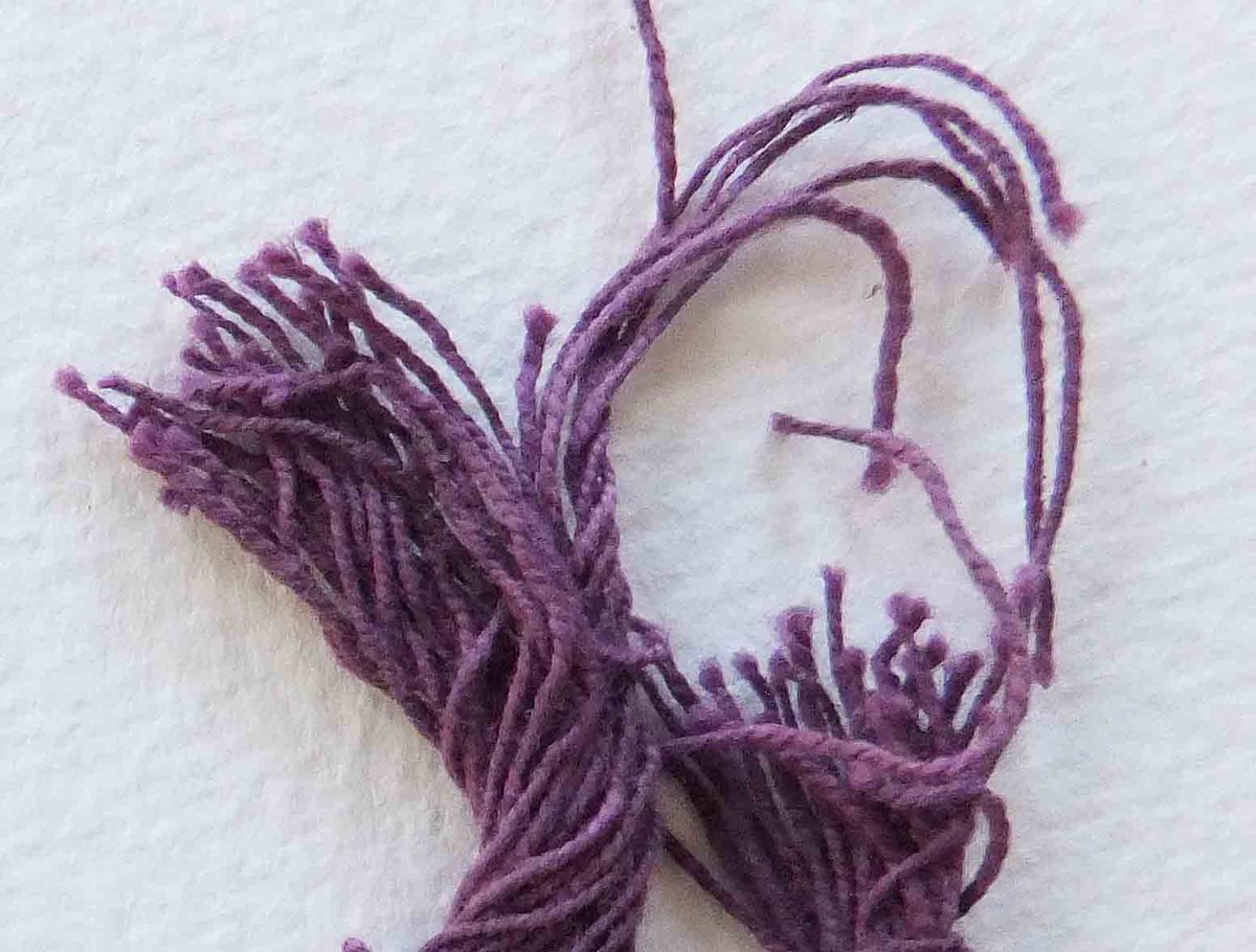 Orchella49's tweet photo. Early 20th C 'shellfish-dyed cotton threads' found in the archive and analysed by Professor Zvi Koren were found to be genuine: an extraordinary find. No murex dyed samples as early exist in ‘modern’ times  #InternationalArchivesWeek2020  #lichendyes #shellfishpurple https://t.co/kJw0Sc7h8r