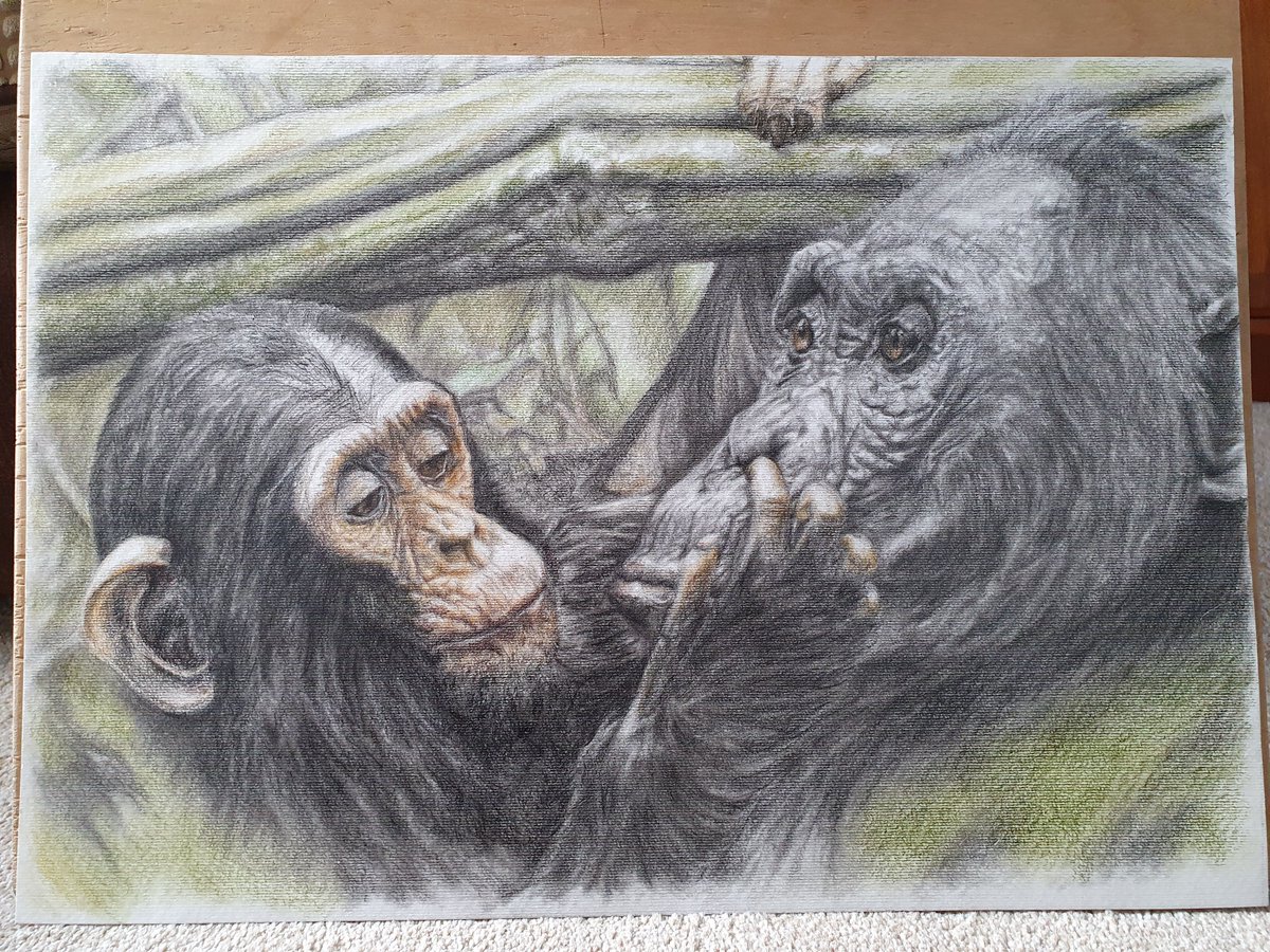 Dawn Roberts tweet media