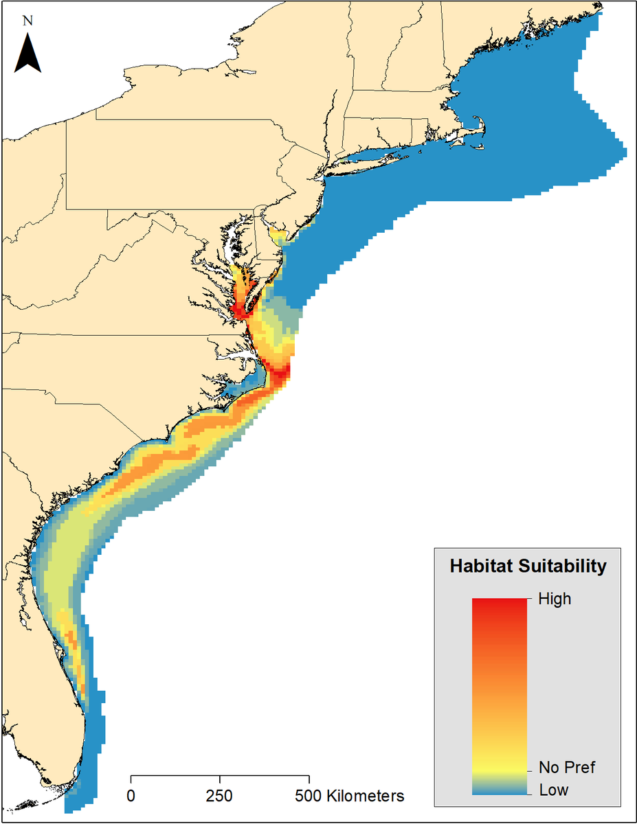 Dan_Crear's tweet photo. New pub projecting the current and future #distribution of #cobia using a depth integrated #habitatmodel

#WorldOceansDay @VIMS_News 
@AlistairHobday @VincentSaba117 

Contemporary and future distributions of cobia, Rachycentron canadum https://t.co/7MR5XCkTFf https://t.co/aPAyNn4FQR