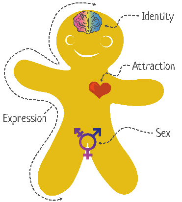 June 8th (Gender vs Sex):A person's gender identity falls on a vast spectrum, ranging from male, female, anything in-between, pangender, or agender.A person's sex aligns with their chromosomes and genitalia. A person's gender may or many not be the same as their sex.