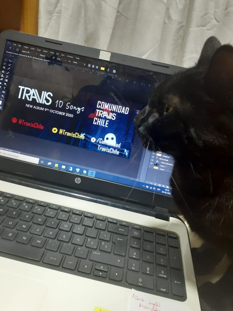 TravisChile's tweet photo. Hey @franhealy! We are designing a new image for @TravisChile and our cat wants to help us 🐈👩‍💻🇨🇱 @TravisBand @andytdunlop #travischile https://t.co/lZTVKdZh4V