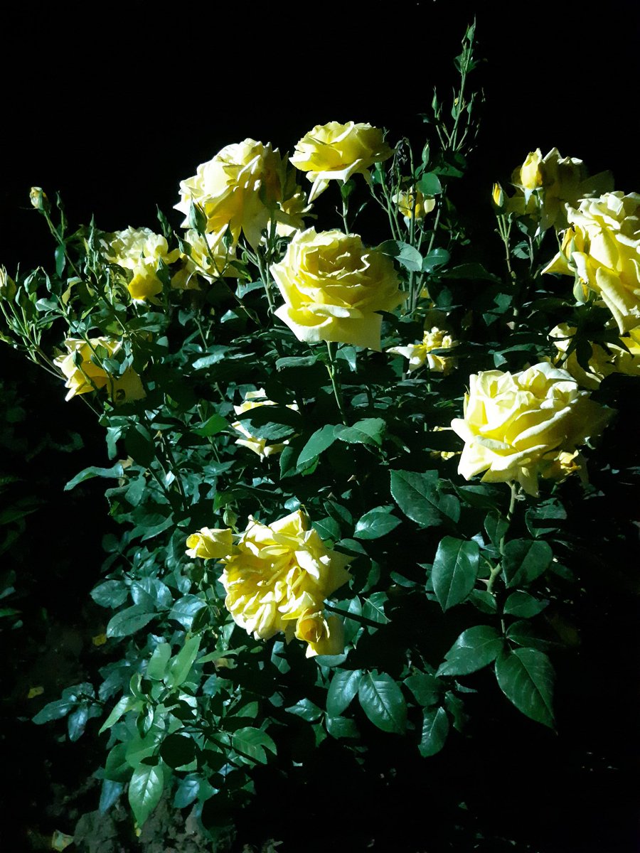 Ким Тэхен (@aogeumy4lheulv8) on Twitter photo 