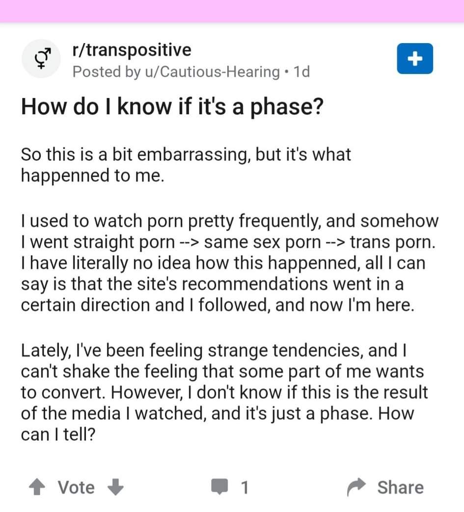 "I used to watch porn, and somehow I went straight porn -> same sex porn -> trans porn. I can't shake the feeling that some part of me wants to convert."