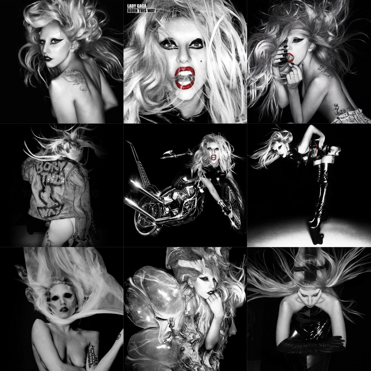 fernandixmos's tweet photo. Identidade visual da Lady Gaga durante seus álbuns nesses 12 anos.  (1/2) https://t.co/sxni0FkGrC
