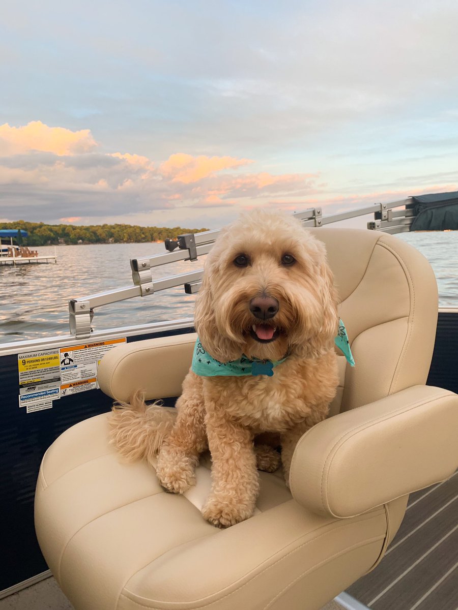 JarrellDentist's tweet photo. Hey guys! My mom said since the virus has slowed down, I can start coming back to the office! Sounds like my coronacation is over. I will be back in July. Hope to see you soon. Love, Teddy https://t.co/UlqaSJFNoN