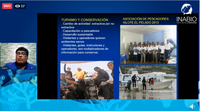 INABIO_EC's tweet photo. 📍Siga en vivo el evento #DíaMundialDeLosOcéanos. Ahora #MiguelTriviño, biólogo de #Bioelite, nos habla del buceo como herramienta de conservación.
👉 Ingrese aquí: https://t.co/60wpLpNWk3 https://t.co/Gj8G1Xmqw9