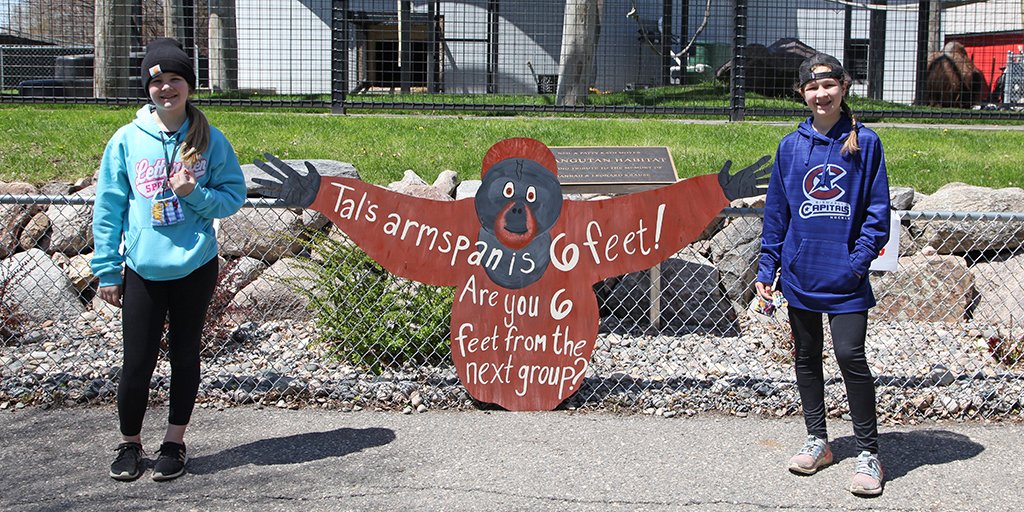 TogetherND's tweet image. Check out the adorable way Chahinkapa Zoo in Wahpeton is making sure visitors follow the six foot rule! All while learning new things about the animals there at the same time ✌ #InThisTogetherND    

📷: Heather Lemoine