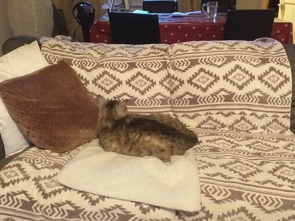 Home after a set of long shifts...just wish Tabitha wasnt quite so excited to see me. <a href="/HowYouDoingNHS/">HowYouDoingNHS</a> "fine, thank you"