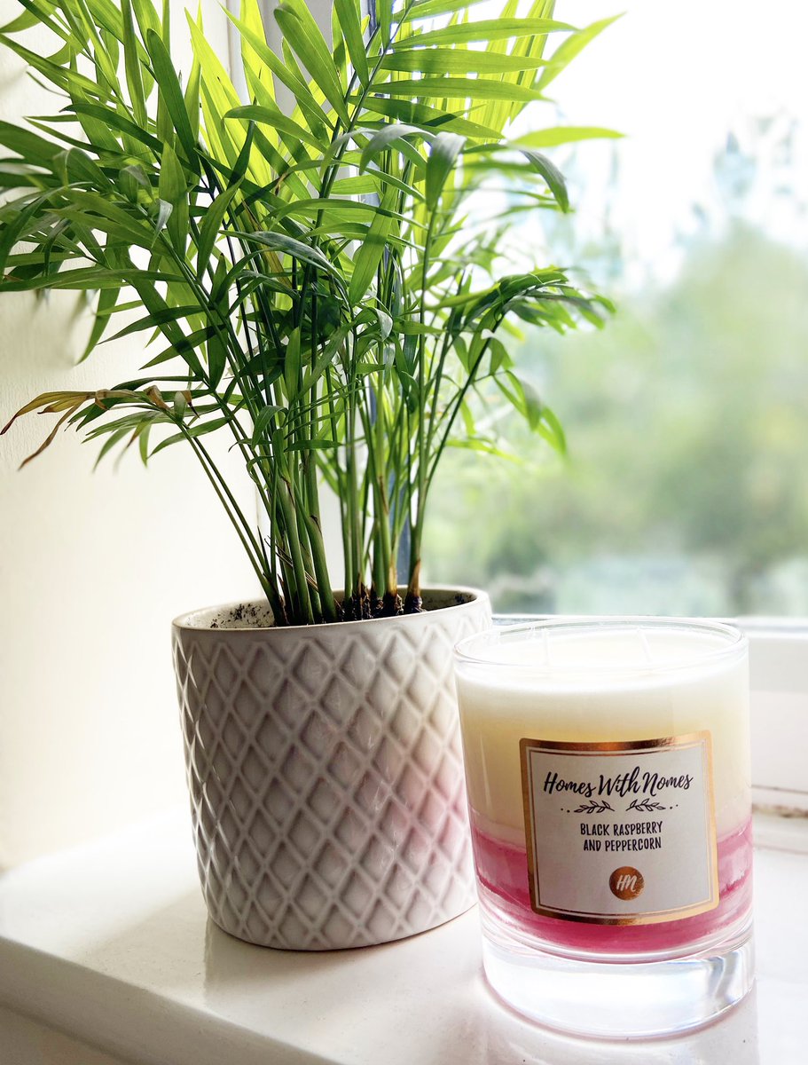 HomesWithNomes's tweet photo. We love our range at the moment🙊 https://t.co/BKluN6DGVZ