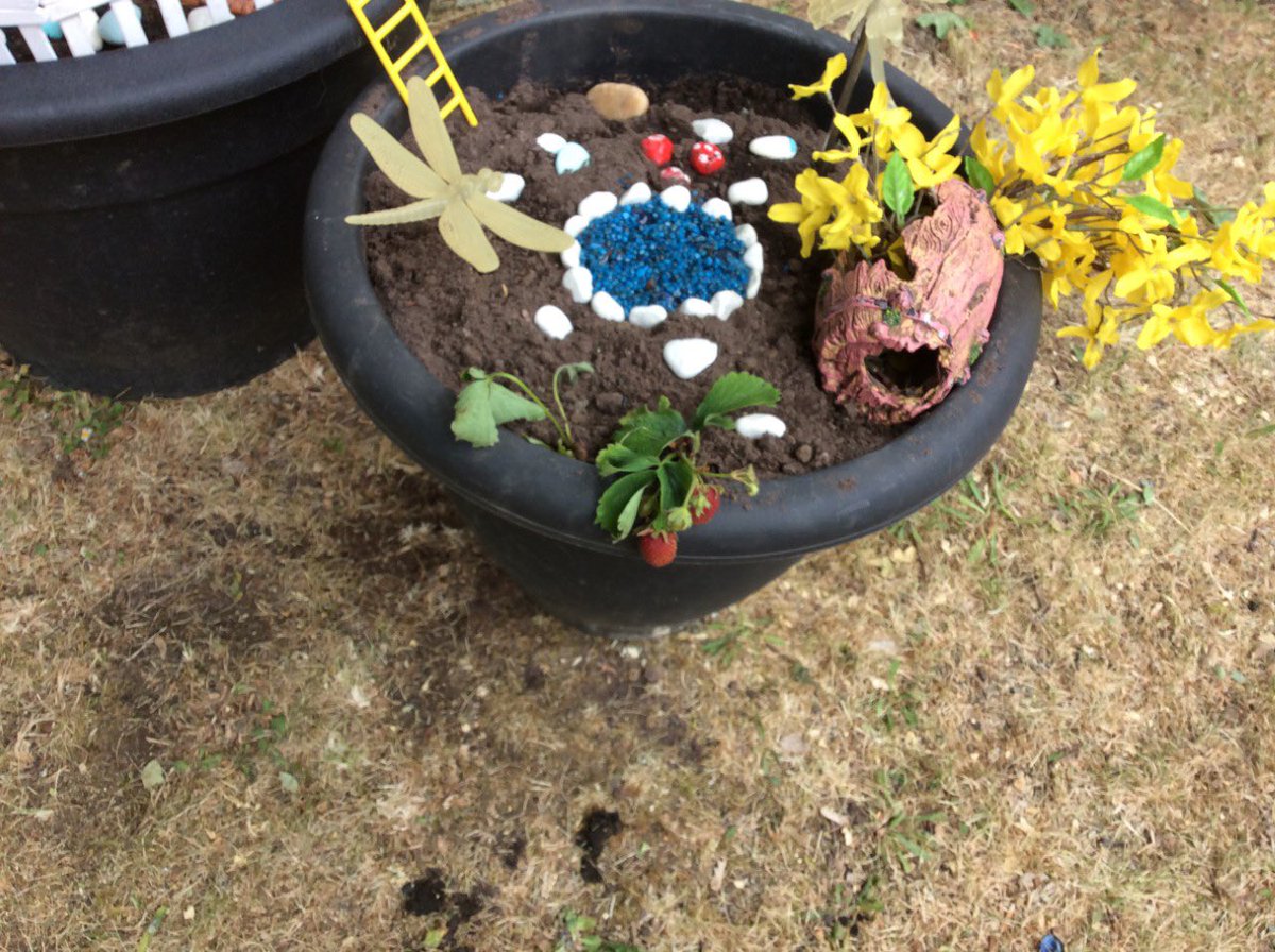 NET_Katherines's tweet image. Last week EYFS critical worker children worked hard to make a fairy garden. We planted strawberries so hopefully we’ll be able to eat some in a few weeks! 🧚‍♀️🍄🍓🌈 #NETKPA #NETAcademies #theNETway #KeyWorker #SocialDistancing #School #FairyGarden #nolimits
