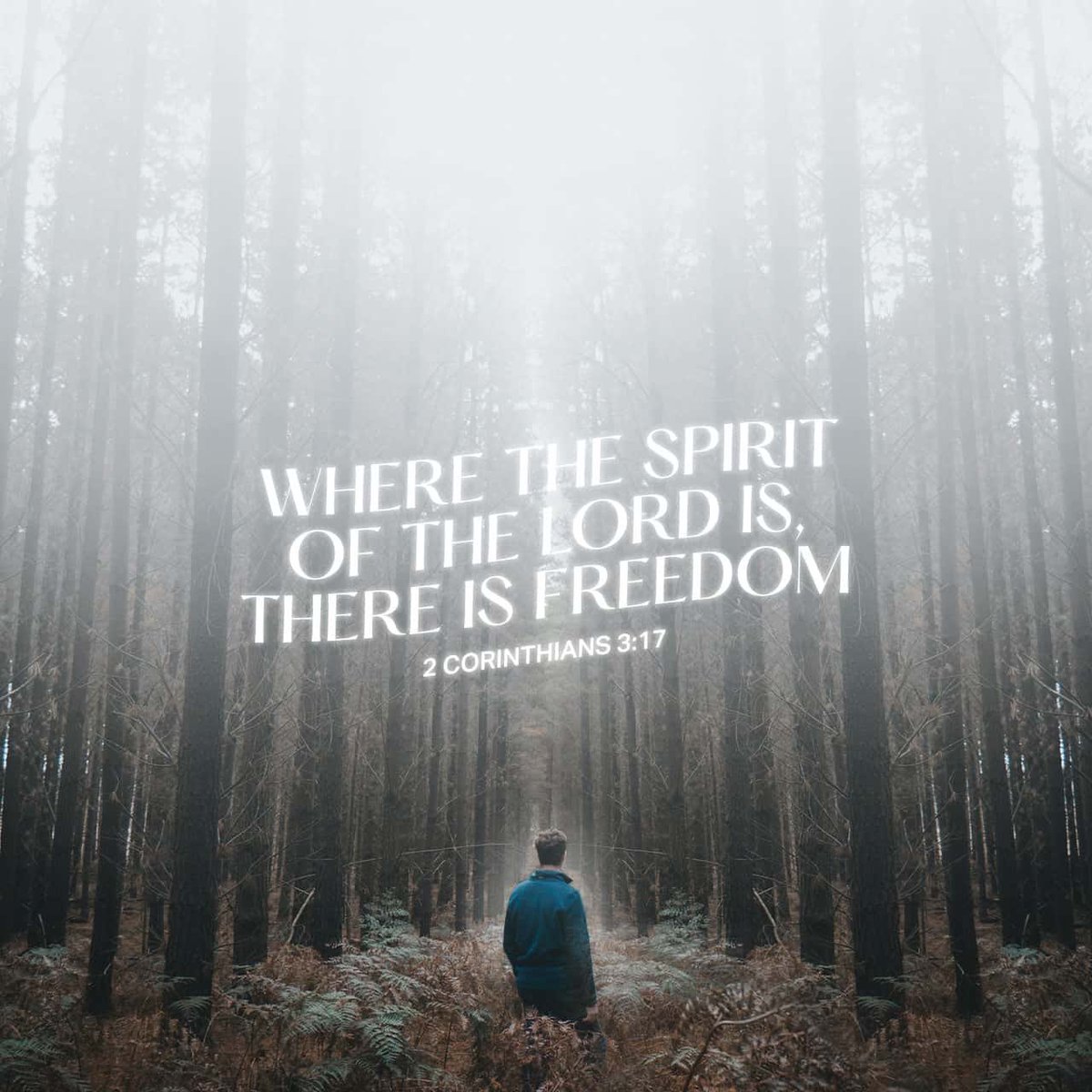 NVStudents's tweet photo. Where the SPIRIT OF THE LORD is, there is FREEDOM. -2 Cor 3:17 #nvstudents #dailybibleverse #holyspirit #Jesus #freedom #studenministry https://t.co/Y4yhRMNS2I