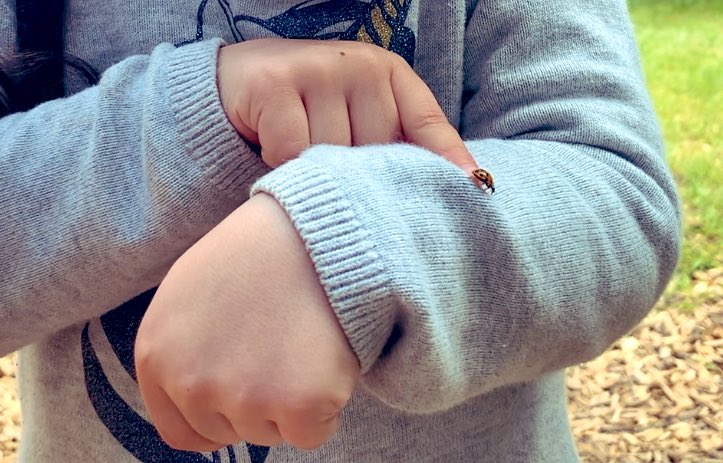 PaoDaCapo's tweet photo. Una amiguita nueva 🐞
#VicoMemory https://t.co/UYpSBrMyKX