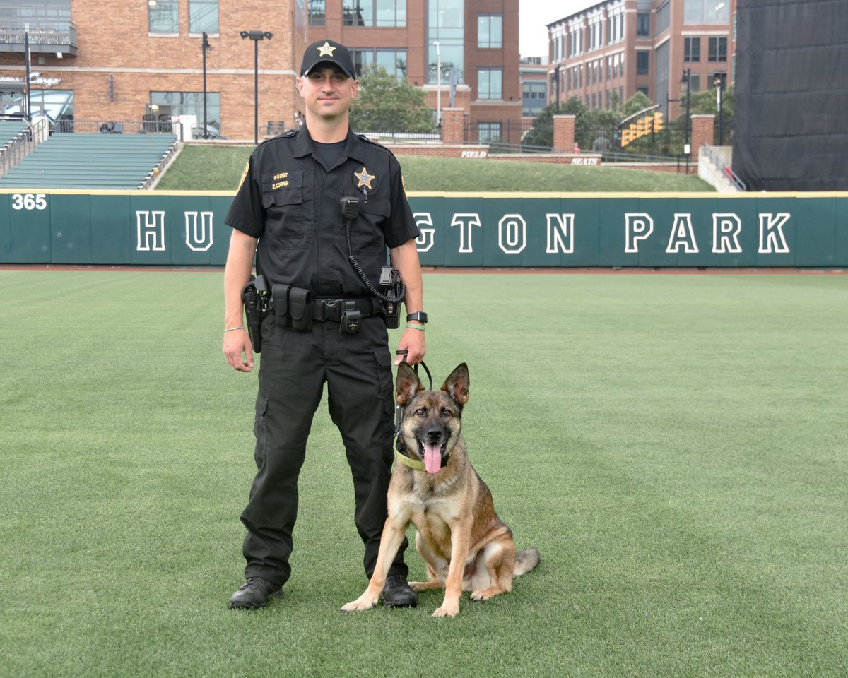 OHFCSO's tweet image. “Now, that’s a beautiful dog!” said every dog lover reading this tweet! Please wish K9 Turbo a happy birthday this month!  He is a German Shepherd/Malinios mix trained in building searches and evidence recovery, but he specializes in narcotics detection.  Good boy, Turbo.