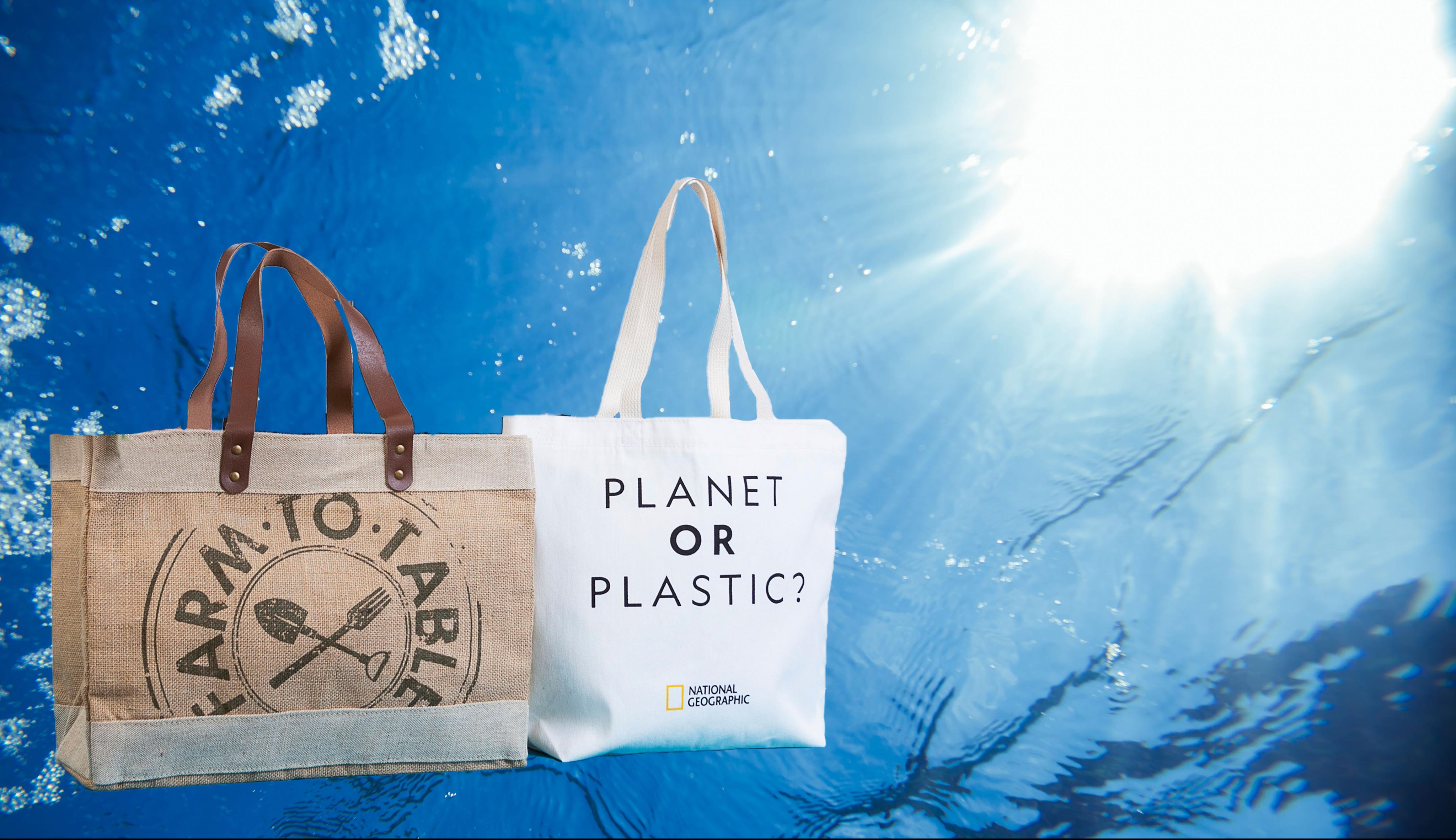 Earthwise totes clearance