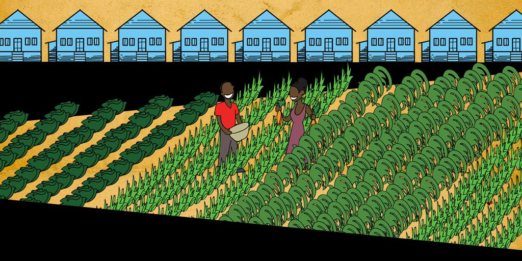 FreeFood_Now's tweet photo. The Hidden Resilience of “Food Desert” Neighborhoods https://t.co/9TWXpYf3Im https://t.co/P01O20l3Sp