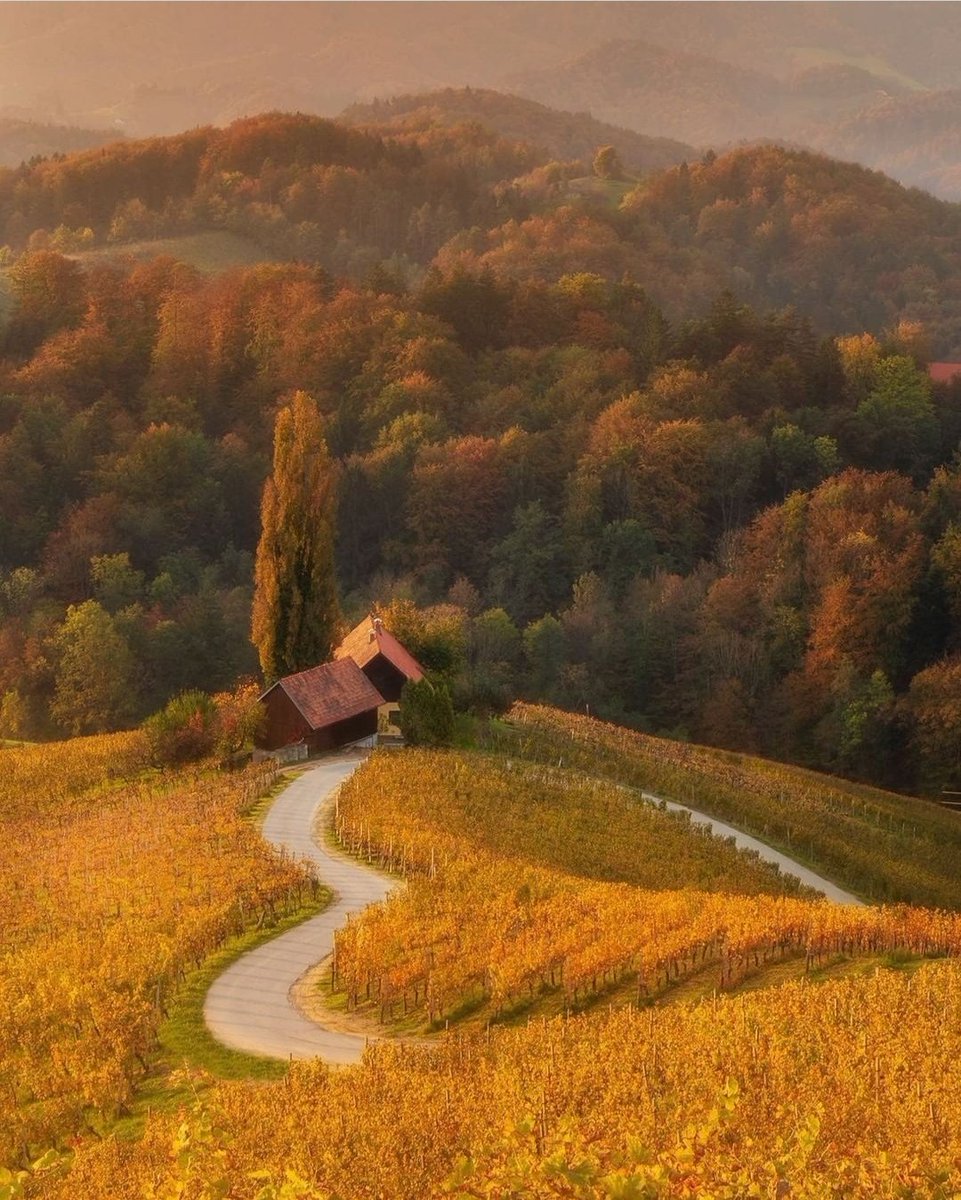 ما لون عينيها ؟
يقول المساء: أخضرُ مرتاحُ على خريف غامض.. كالغناء والرمشُ مفتاحُ لما يريد القلب أن يسمعهْ..

#محمود_درويش
@jeillenne 👈😊 إهداء خاص للغالية