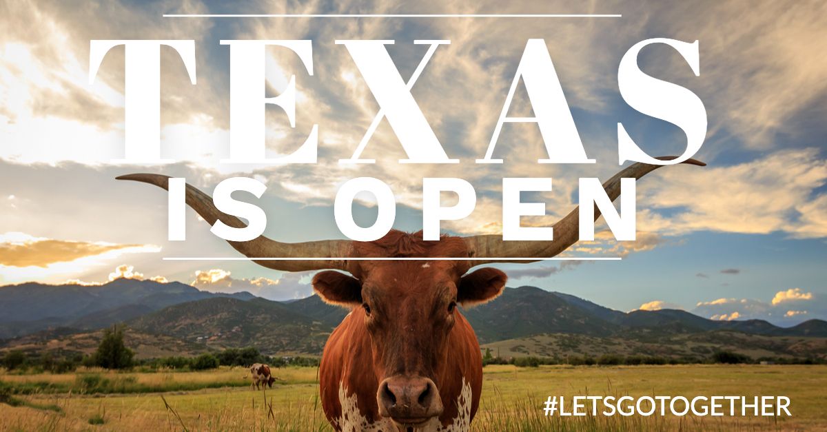 FirstClassTours's tweet image. Looking for stuff to do? Texas is open!  Here are some of the parks you could be visiting. ~ Brazos Bend State Park ~ Lake Houston Wilderness Park ~ Sheldon Lake State Park &amp;amp; Environmental Learning Center ~ Stephen F. Austin State Park #LetsGoTogether #FirstClass