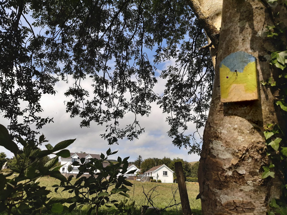 MacreddinRock's tweet image. Spreading some magic in Macreddin #grandchildren #covidmemories #simplefun