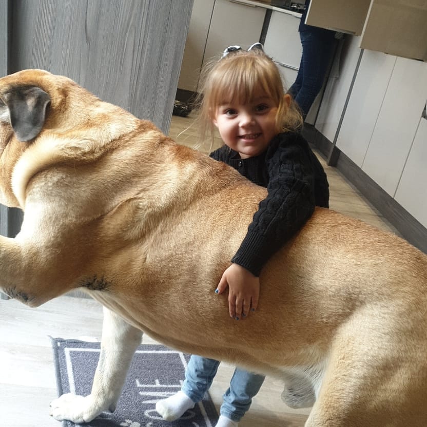 George wanted a hug.... #GorgeousGeorge