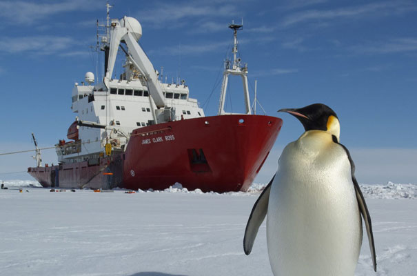 Business Weekly (@businessweekly) on Twitter photo BAS staff come in from the cold after Antarctic vigil bit.ly/2XL9Evm With air travel not an option due to COVID-19 the <a href="/BAS_News/">British Antarctic Survey 🐧</a> scientists embarked upon a three week sea journey to be reunited with family in the UK. BAS staff come in from the cold after Antarctic vigil bit.ly/2XL9Evm With air travel not an option due to COVID-19 the <a href="/BAS_News/">British Antarctic Survey 🐧</a> scientists embarked upon a three week sea journey to be reunited with family in the UK.