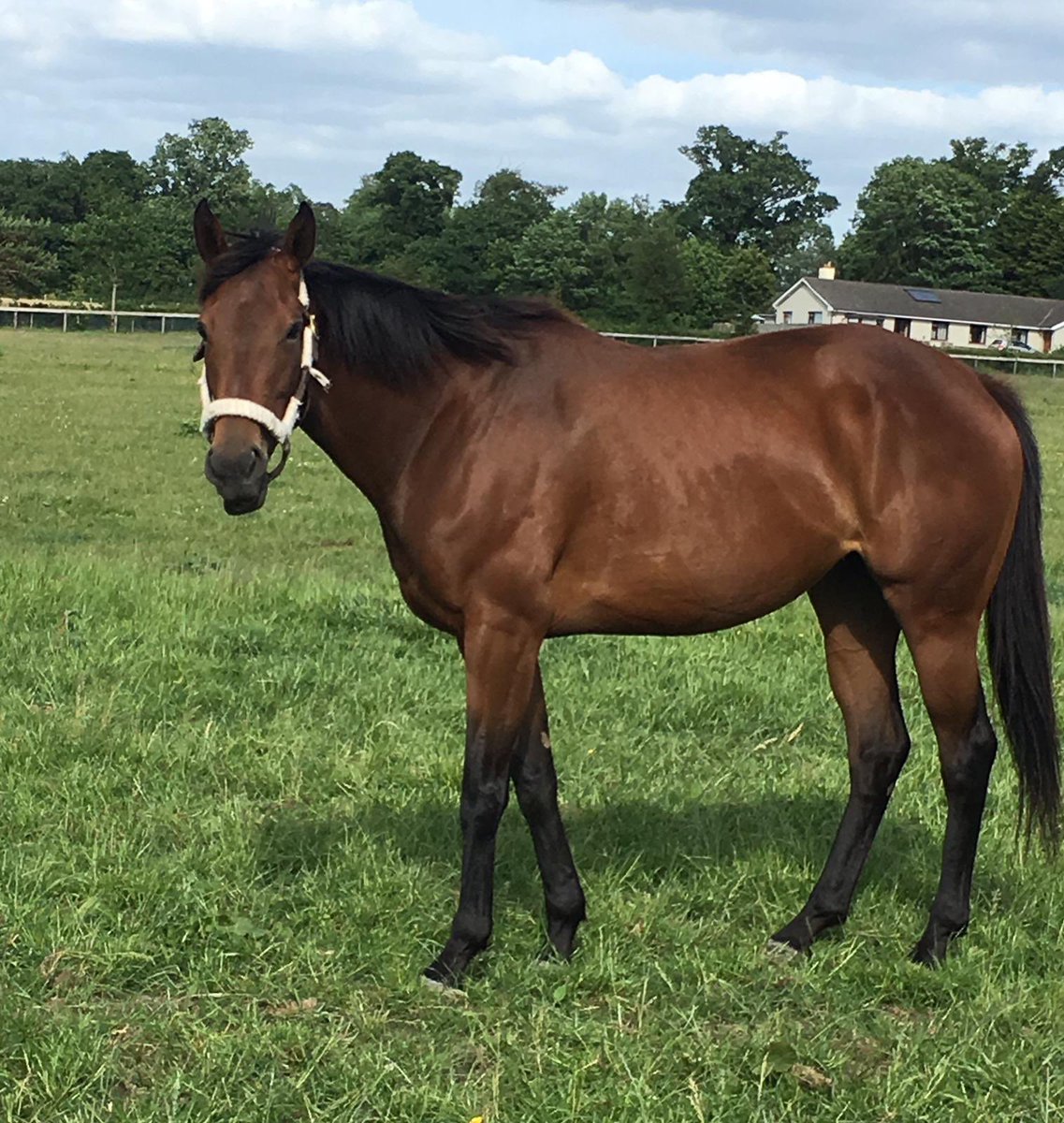 PowerstownStud tweet media