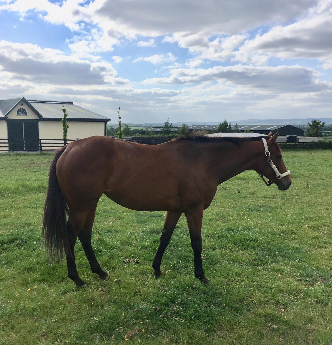 PowerstownStud tweet media