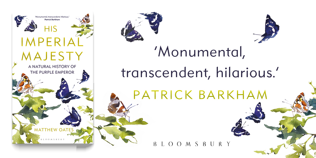 We're giving away THREE copies of the new book "His Imperial Majesty" by <a href="/MatthewOates76/">Matthew Oates</a>! 💜

To be in with a chance of winning:

👉 RETWEET this tweet
👉 Make sure you're following <a href="/savebutterflies/">Butterfly Conservation 🦋</a> and <a href="/chiffchat/">Bloomsbury Wildlife</a>

#Giveaway #CompetitionTime 📚