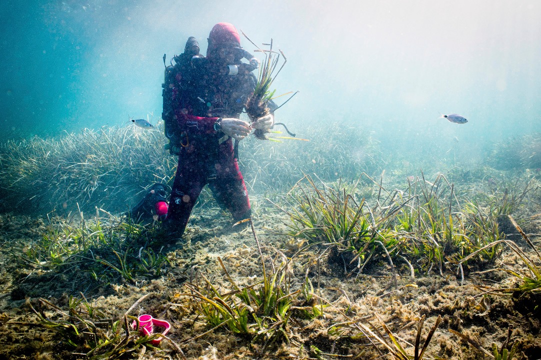 CollectifArgos's tweet photo. @laurenechamp et Eleonore Henry de Frahan enquêtent sur les ravages de la plaisance en Méditerranée. Notre série documentaire en cours "AMER", sur l'accaparement des océans, sera présentée début 2021. Une dizaine de sujets en France et à travers le monde. #WorldOceansDay https://t.co/GbPJSbOLfR