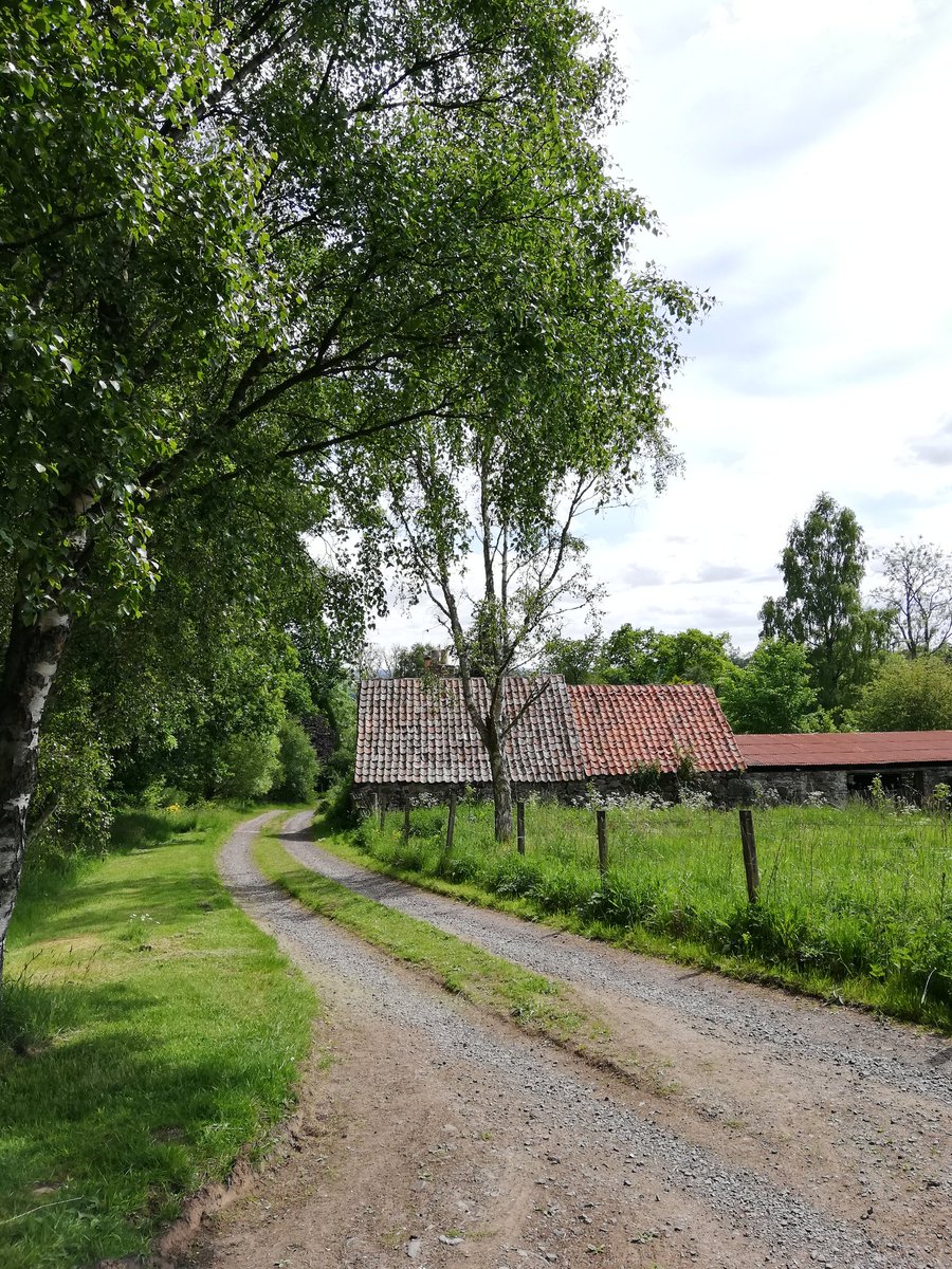 A beautiful old building with amazing pantiles (roof tiles) on our walk today.
#visitperthshire #countrywalk #eyesonscotland #buildingheritage