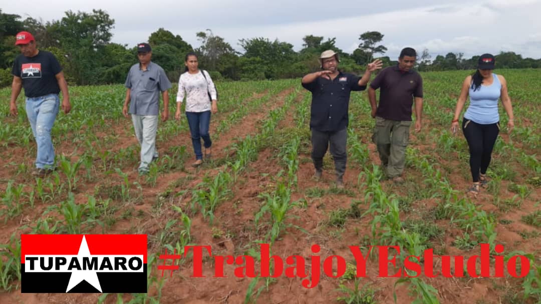 Desde el municipio de la juventud, somos parte de una militancia #TUPAMARO que se dedica al #TrabajoYEstudio y la formación de la conciencia revolucionaria que trabaja para producir, por una patria digna, que nos llama a formar Mujeres y Hombres libres #RebeldesSiempre