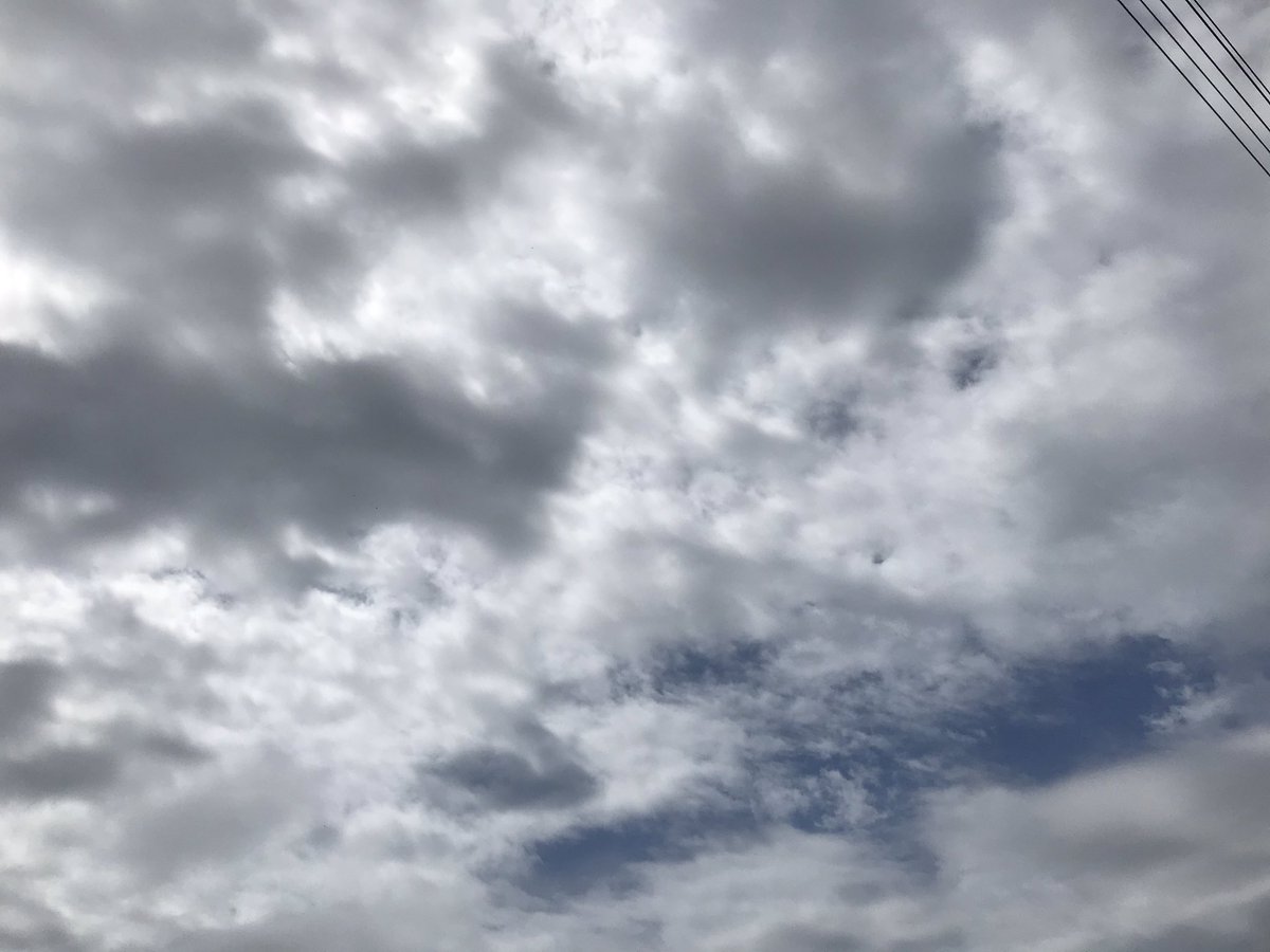 Orchid2424's tweet photo. Today was another glorious day It made me smile 😊 This was this morning but the sun ☀️ came out It’s a balmy 70 F Grateful for being alive!! 💜 https://t.co/nkMEB8amql