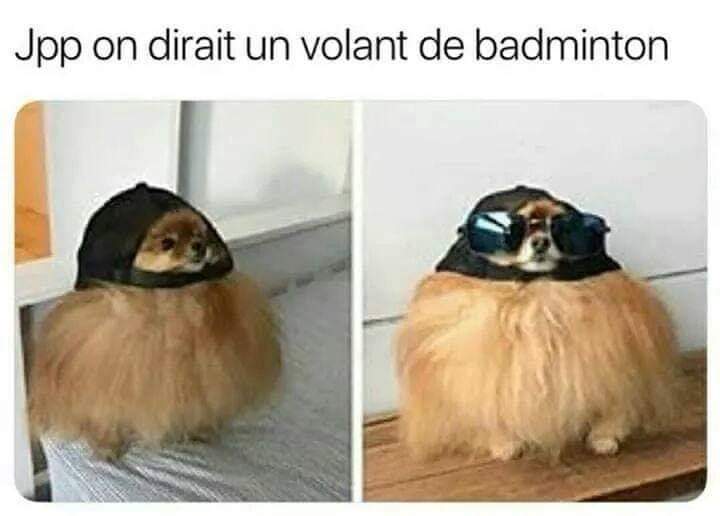 Jpp 😂😂