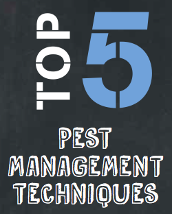 🐞Top 5 Pest Management Techniques🐌 - mailchi.mp/littleveggiepa…