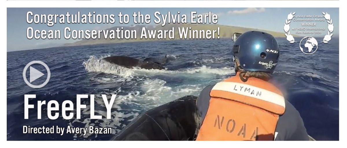 OceansUnmanned's tweet photo. On #WorldOceansDay honored our film βfreeFLYβ in collaboration @DJIEnterprise @averybazan has been selected as a 2020 @SylviaEarle Ocean Conversation Award Winner! Congratulations to @balangara as well! @romeoch @1World1Ocean @Hihumpbackwhale @myhero https://t.co/EZKDbadEXl https://t.co/NYZub1CYkJ