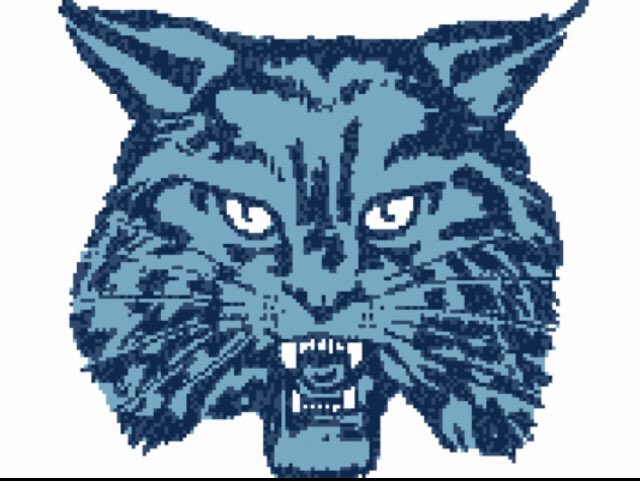 nally_dean's tweet photo. Thank you to @TownWilmMA for presenting me with your scholarship. Forever a Wildcat and truly appreciate the honor. https://t.co/xFVMMEyTcV