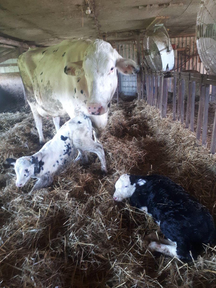 I don't need Maury to know there was some fishy going on here. #whosyourdaddy. <a href="/EastGenGenetics/">EastGen</a>